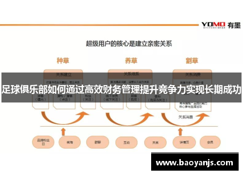 足球俱乐部如何通过高效财务管理提升竞争力实现长期成功